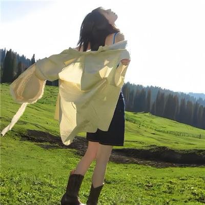 夏绿蒂的网2 韦柏历险记