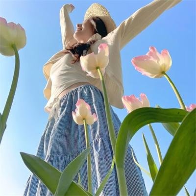 逆女泰瑞丝